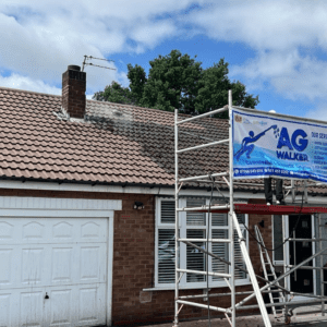 Tile Roof Cleaning